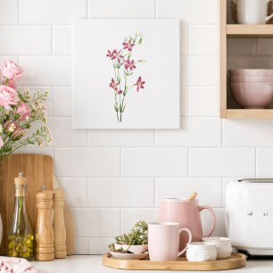 Vintage Flowers - Centaurium by Mary Vaux Walcott Tile