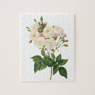 Vintage Flowers Floral Blush Noisette Rose Redoute Jigsaw Puzzle