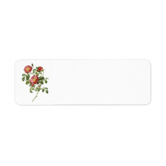 Vintage Flowers Floral Red Rose of Love by Redoute