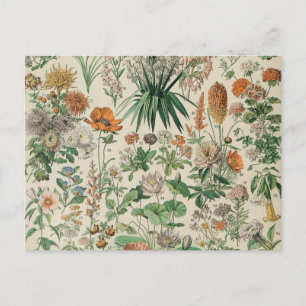 Vintage Flowers Illustration Adolphe Millot Postcard
