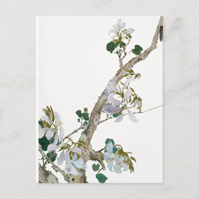 Vintage Flowers Illustration Postcard (Front)