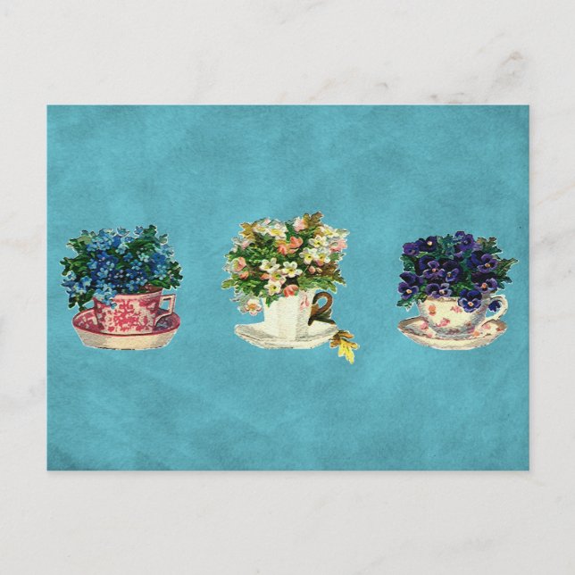 Vintage Flowers in Cups Postcard (Front)