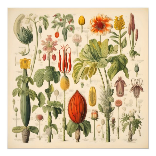 Vintage Flowers Photo Print (Front)