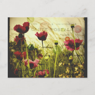 Vintage flowers Postcard