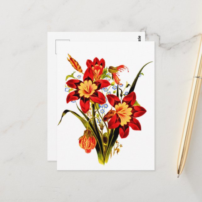 Vintage Flowers Postcard (Front/Back In Situ)