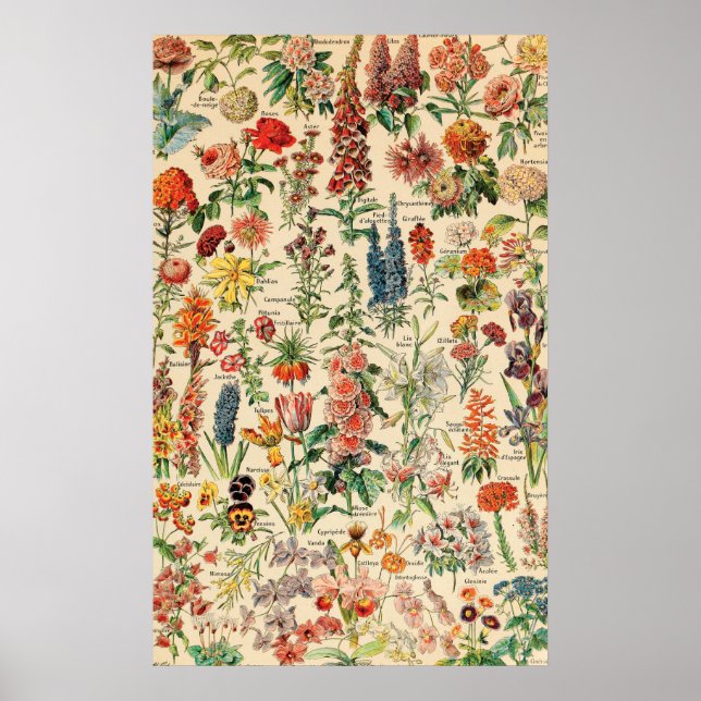 Vintage Flowers Poster (Front)