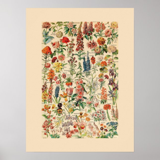 Vintage Flowers Poster (Front)