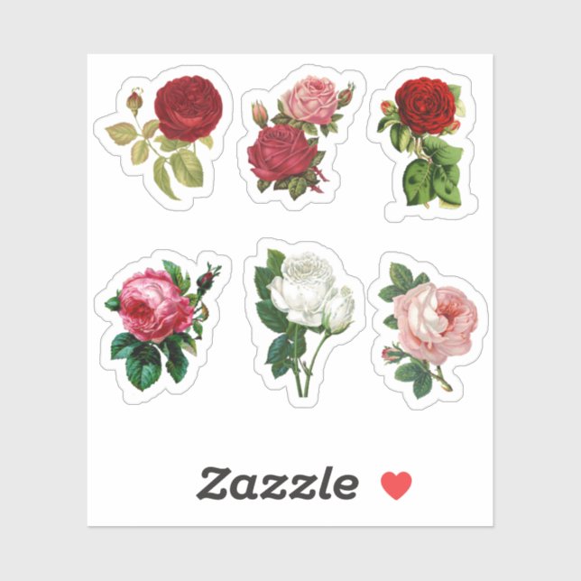 Vintage Flowers Roses (Sheet)