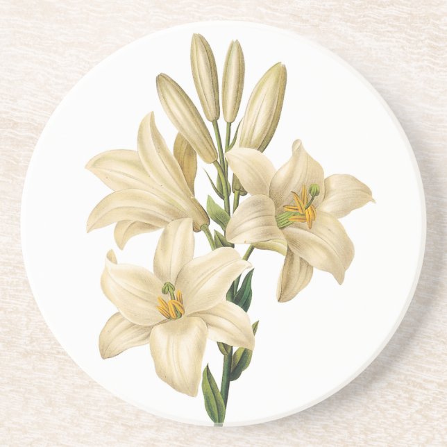 Vintage Flowers sandstone coaster 1 (Front)