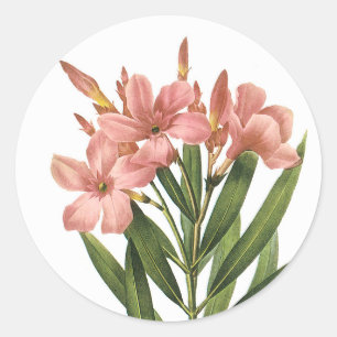 Vintage Flowers stickers 3 B