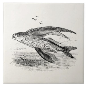 Vintage Flying Fish Antique Personalised Template Tile