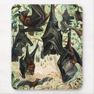 Vintage flying fox bat acadamia illustration  mouse pad