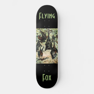 Vintage flying fox bat acadamia illustration  skateboard