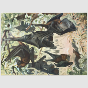 Vintage flying fox bat acadamia illustration  tissue paper