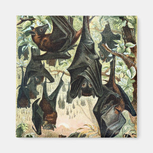 Vintage flying fox bat black bats elegant gothic magnet