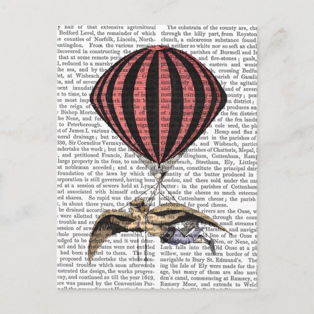 Vintage Flying Machine Postcard (Front)