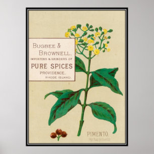 Vintage : food advertising - poster