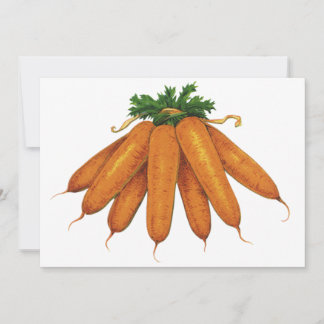 Vintage Food, Bunch of Organic Carrots Vegetables