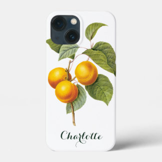 Vintage Food Fruit, Apricot Peach by Redoute iPhone 13 Mini Case