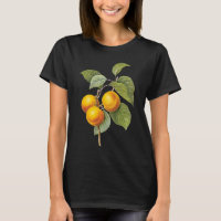 Vintage Food Fruit, Apricot Peach by Redoute