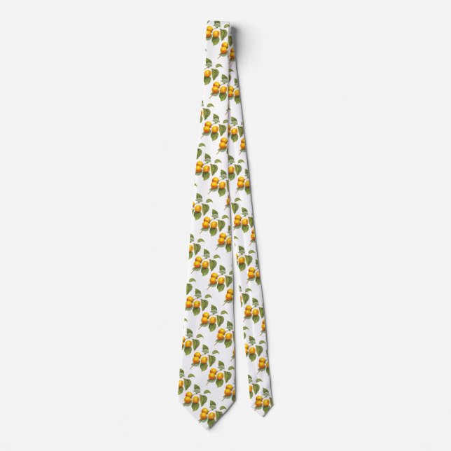 Vintage Food Fruit, Apricot Peach by Redoute Tie (Front)