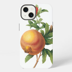 Vintage Food Fruit, Pomegranate by Redoute iPhone 13 Case
