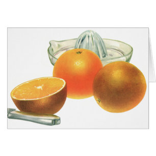 Vintage Food Fruit, Ripe Oranges Juicer Breakfast