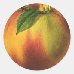 Peach Fruit Stickers | Zazzle NZ