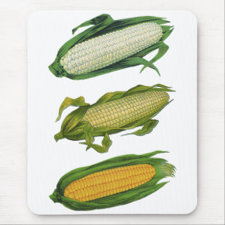 Vintage Food Healthy Vegetables, Fresh Corn on Cob Mouse Pad