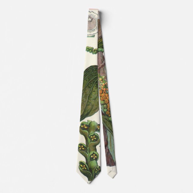 Vintage Food Herbs Spices, Black Pepper Plant Tie (Front)