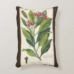 Vintage Food Herbs Spices, Cloves Plant Decorative Cushion