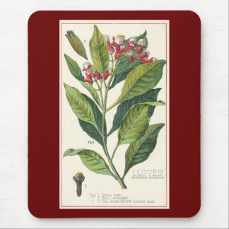 Vintage Food Herbs Spices, Cloves Plant Mouse Pad