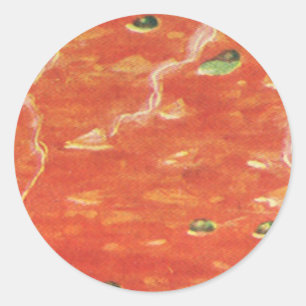 Vintage Food, Hot Bowl of Tomato Soup with Peas Classic Round Sticker