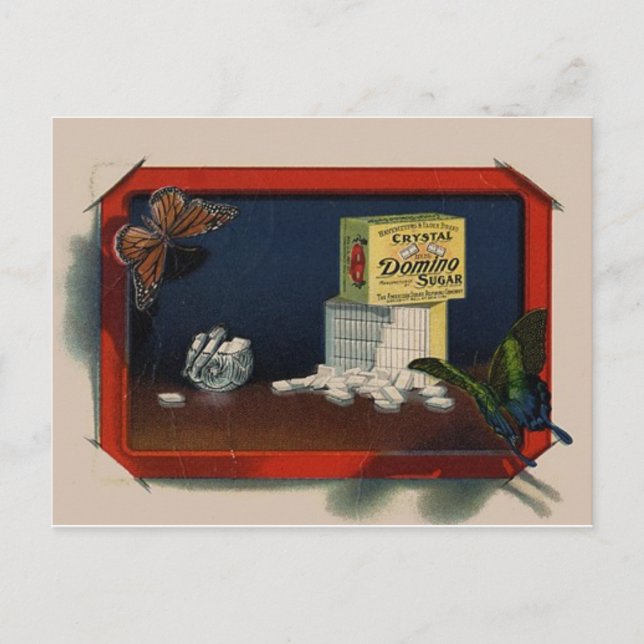 Vintage Food Postcard (Front)