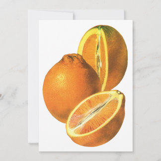 Vintage Foods, Fruit Organic Fresh Healthy Oranges