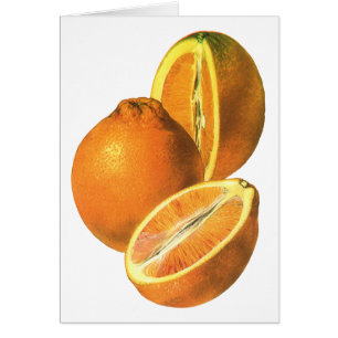 Vintage Foods, Fruit Organic Fresh Healthy Oranges