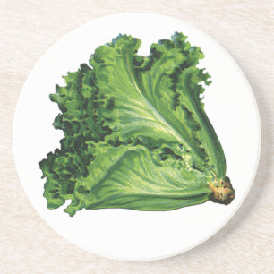 Vintage Foods, Green Leaf Lettuce Vegetables Coaster