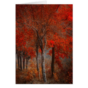 Vintage Forest Scene