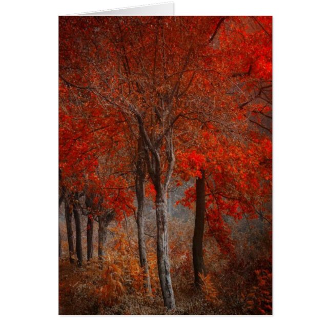 Vintage Forest Scene (Front)