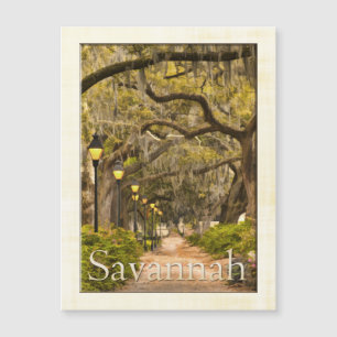 Vintage Forsyth Park - Savannah, GA, Photography