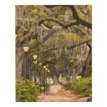 Vintage Forsyth Park Travel Photography - Savannah