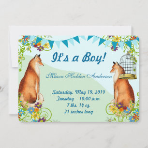 Vintage Fox Bunting Garden Baby Boy Announcement