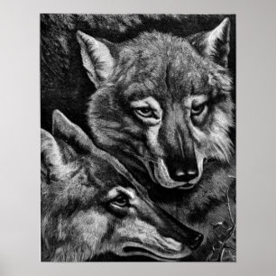 Vintage Fox Drawing Print