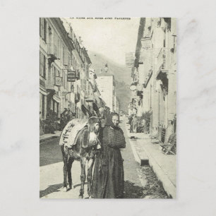 Vintage France ,  Bareges, Woman with a donkey Postcard