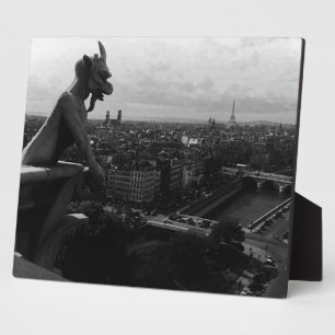 Vintage France Paris Notre Dame Cathedral devil Plaque