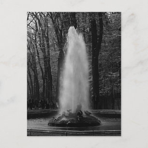 Vintage France Versailles palace Ceres fountain Postcard