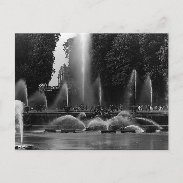 Vintage France Versailles palace neptune fountains Postcard (Front)