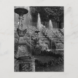 Vintage France Versailles palace Salle de Bal Postcard