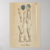 Vintage French 1825 Acupuncture Meridian Points