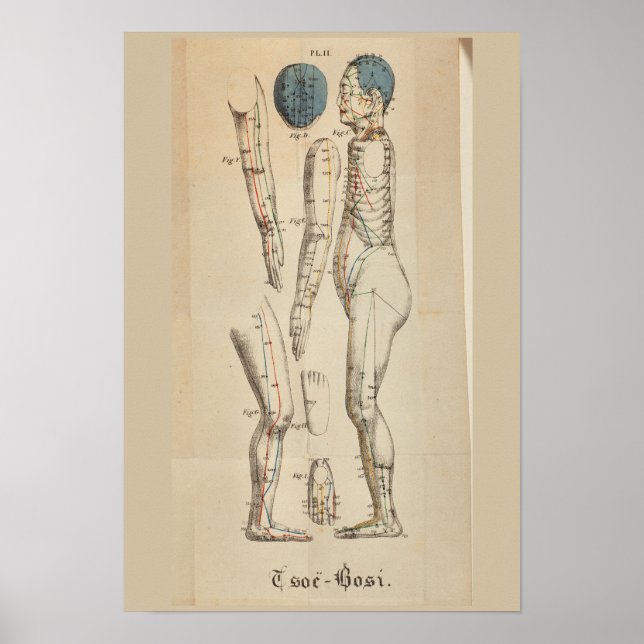 Vintage French 1825 Acupuncture Meridian Points Poster (Front)